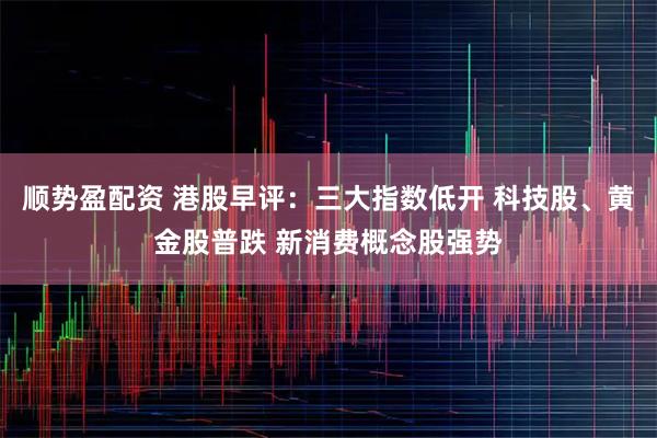 顺势盈配资 港股早评：三大指数低开 科技股、黄金股普跌 新消费概念股强势